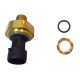 Sensor De Presión  // Mercedes Benz Of 1418/1722 - Oh 1518/ Accelo 1016/ Agrale Mt 17.0 -w8 Volare // Oem: 6025011036002